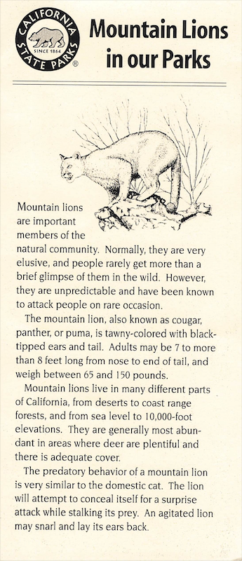 Mountain Lions: front